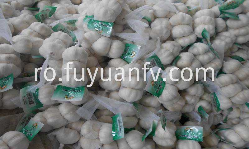 white garlic 